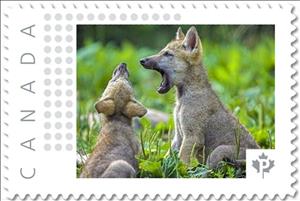 Stamp, Wolf Cubs, Canada,  , Animals (Fauna), Infant Animals, Wolves