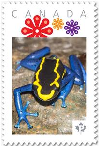 Stamp, Yellow and Blue Dart Frog, Canada,  , Amphibians, Animals (Fauna), Frogs