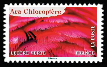 Stamp, Feathers of Clothed Macaw (Ara chloropterus), France,  , Birds