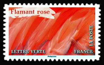 Stamp, Feathers of Greater Flamingo (Phoenicopterus roseus), France,  , Flamingos