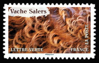 Skin of Salers Cattle