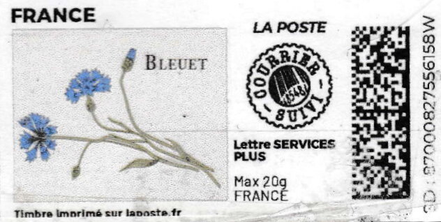 Cornflower. Bleuet . Redesign.no logo. Courrier suivi