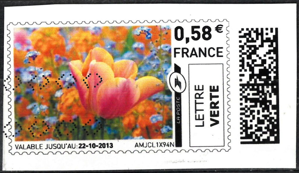 Peach Tulips