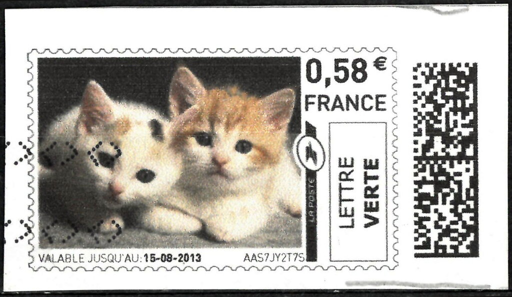 Two Kittens