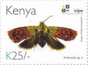 Stamp, Anthozela sp., Kenya,  , Animals (Fauna), Anniversaries and Jubilees, Butterflies and Moths, Insects