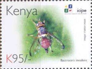 Stamp, Bactrocera invadens, Kenya,  , Animals (Fauna), Anniversaries and Jubilees, Insects