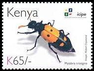 Stamp, Blister Beetle (Mylabis tristigma), Kenya,  , Animals (Fauna), Anniversaries and Jubilees, Beetles, Insects