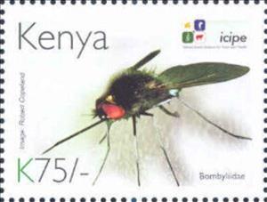 Stamp, Bombyliidae, Kenya,  , Animals (Fauna), Anniversaries and Jubilees, Insects