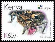 Stamp, Bush Cricket (Hetrodinae sp.), Kenya,  , Animals (Fauna), Anniversaries and Jubilees, Insects