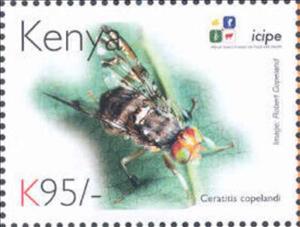Stamp, Ceratitis copelandi, Kenya,  , Animals (Fauna), Anniversaries and Jubilees, Insects