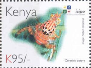 Stamp, Ceratitis cosyra, Kenya,  , Animals (Fauna), Anniversaries and Jubilees, Insects