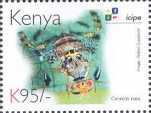 Stamp, Ceratitis rosa, Kenya,  , Animals (Fauna), Anniversaries and Jubilees, Insects