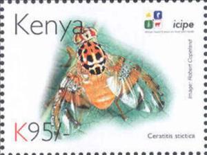 Stamp, Ceratitis stictica, Kenya,  , Animals (Fauna), Anniversaries and Jubilees, Insects