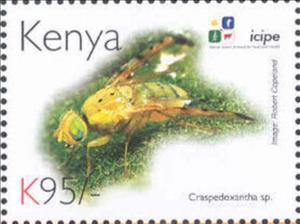 Stamp, Craspedoxantha sp., Kenya,  , Animals (Fauna), Anniversaries and Jubilees, Insects
