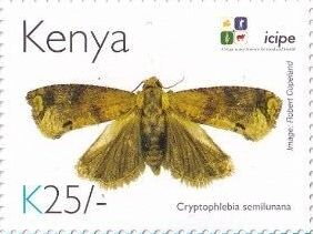 Stamp, Cryptophlebia semilunana, Kenya,  , Animals (Fauna), Anniversaries and Jubilees, Butterflies and Moths, Insects