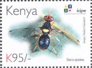Stamp, Dacus apostata, Kenya,  , Animals (Fauna), Anniversaries and Jubilees, Insects