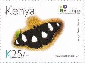 Stamp, Danaid Eggfly (Hypolimnas misippus), Kenya,  , Animals (Fauna), Anniversaries and Jubilees, Butterflies and Moths, Insects