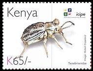 Stamp, Darkling Beetle (Tenebrionidae), Kenya,  , Animals (Fauna), Anniversaries and Jubilees, Beetles, Insects