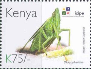 Stamp, Dictyopharidae, Kenya,  , Animals (Fauna), Anniversaries and Jubilees, Insects