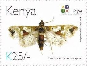 Stamp, Eggplant Fruit Borer (Leucinodes orbonalis), Kenya,  , Animals (Fauna), Anniversaries and Jubilees, Butterflies and Moths, Insects