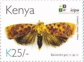 Stamp, Eucosmini sp., Kenya,  , Animals (Fauna), Anniversaries and Jubilees, Butterflies and Moths, Insects
