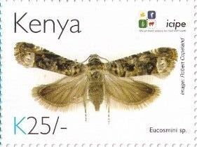 Stamp, Eucosmini sp., Kenya,  , Animals (Fauna), Anniversaries and Jubilees, Butterflies and Moths, Insects