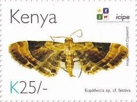 Stamp, Eupithecia festiva, Kenya,  , Animals (Fauna), Anniversaries and Jubilees, Butterflies and Moths, Insects