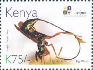 Stamp, Fig Wasp, Kenya,  , Animals (Fauna), Anniversaries and Jubilees, Insects