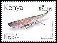 Stamp, Lantern Fly (Pyrops turritus), Kenya,  , Animals (Fauna), Anniversaries and Jubilees, Insects