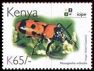 Stamp, Leaf Beetle (Nosognatha ruficollis), Kenya,  , Animals (Fauna), Anniversaries and Jubilees, Beetles, Insects