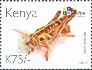 Stamp, Locust, Kenya,  , Animals (Fauna), Anniversaries and Jubilees, Insects