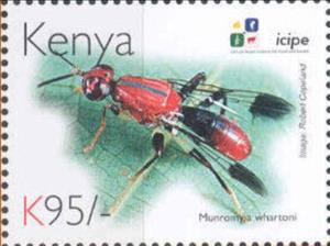 Stamp, Munromyia whartoni, Kenya,  , Animals (Fauna), Anniversaries and Jubilees, Insects
