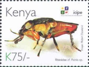 Stamp, Rhiniidae cf. Fainia sp., Kenya,  , Animals (Fauna), Anniversaries and Jubilees, Insects