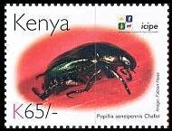 Stamp, Scarab Beetle (Popillia aeneipennis), Kenya,  , Animals (Fauna), Anniversaries and Jubilees, Beetles, Insects