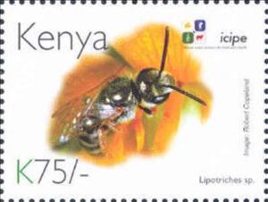 Stamp, Sweat Bee (Lipotriches sp.), Kenya,  , Animals (Fauna), Anniversaries and Jubilees, Insects