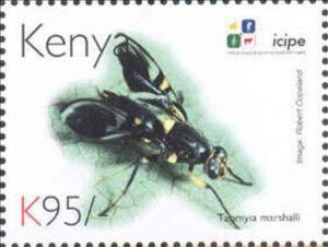Stamp, Taomyia marshalli, Kenya,  , Animals (Fauna), Anniversaries and Jubilees, Insects