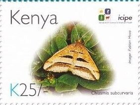 Stamp, Triple Striped Peacock (Chiasmia subcurvaria), Kenya,  , Animals (Fauna), Anniversaries and Jubilees, Butterflies and Moths, Insects
