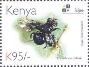 Stamp, Trirhithrum coffeae, Kenya,  , Animals (Fauna), Anniversaries and Jubilees, Insects