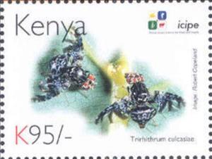 Stamp, Trirhithrum culcasiae, Kenya,  , Animals (Fauna), Anniversaries and Jubilees, Insects