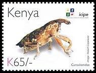 Stamp, Weevil (Curculionidae), Kenya,  , Animals (Fauna), Anniversaries and Jubilees, Beetles, Insects