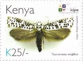 Stamp, Yponomeuta strigillata, Kenya,  , Animals (Fauna), Anniversaries and Jubilees, Butterflies and Moths, Insects