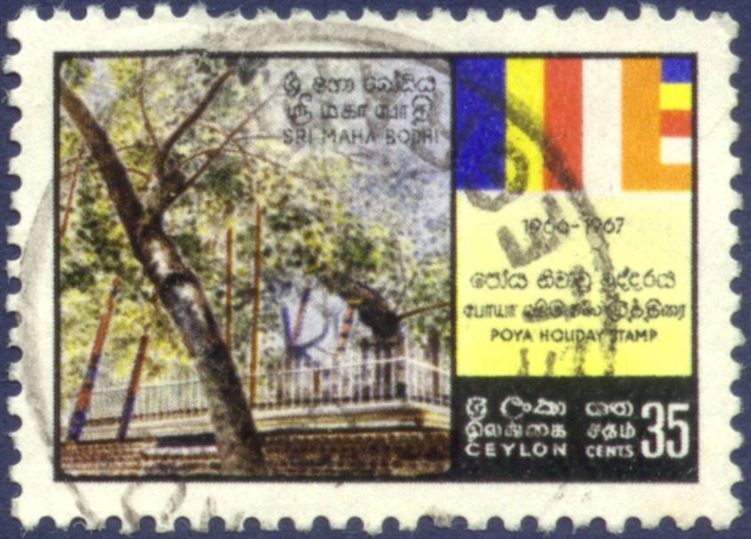 Sacred Bo Tree