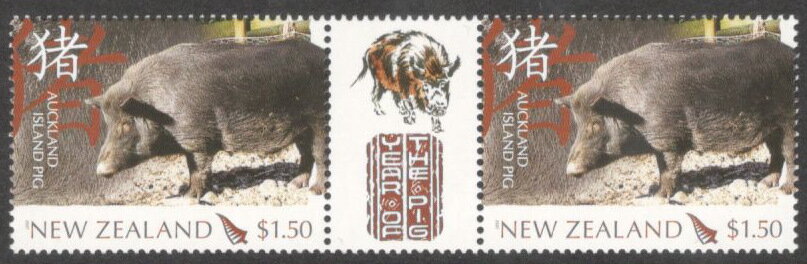 Auckland Island Pig (Sus scrofa domestica) - Gutter Pair