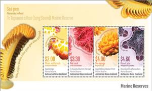 Souvenir Sheet, Biscuit Star, Ulva Island-Te Wharawhara Marine Reserve, New Zealand,  , Animals (Fauna), Corals and Sponges, Molluscs, Parks, Sea Life, Starfish