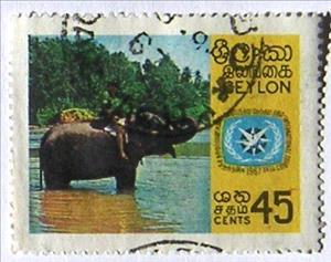 Stamp, Tourist on an Asian Elephant (Elephas maximus), Sri Lanka,  , Mammals, Tourism, Elephants, International Years, Animals (Fauna)