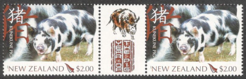 Kunekune Sow “Ruby” (Sus scrofa domestica) - Gutter Pair