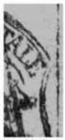 Papal Arms, postal forgery
