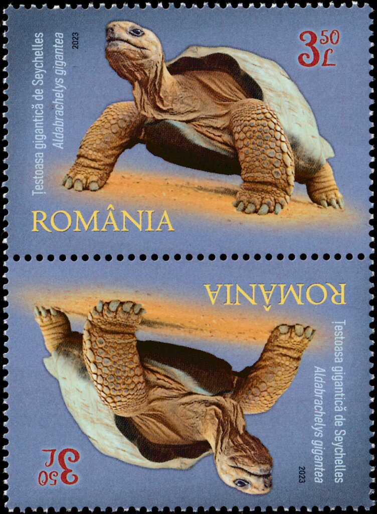 Seychelles Giant Tortoise (Aldabrachelys gigantea)