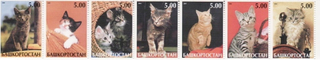 Cats