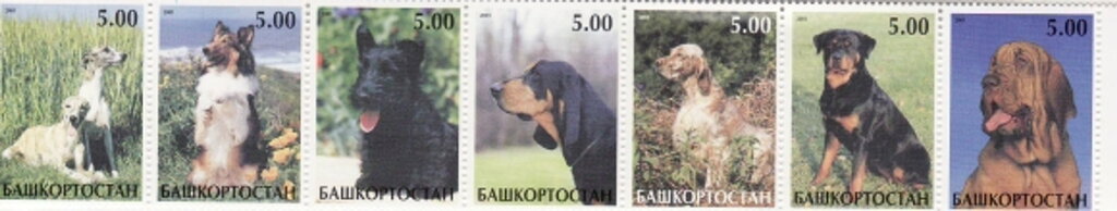 Dogs
